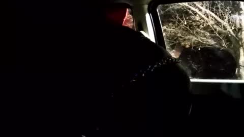 phillipdee online show from 02/01/26, 10:03