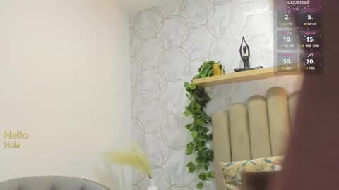    online show from 02/11/26, 11:26