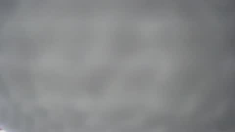 Snapshot of pichard18 chatting on 12/13/24, 05:16 pichard18 online show from 12/13/24, 05:16