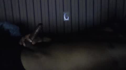 pierce online show from 11/01/25, 08:27