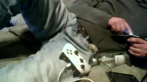 Snapshot of pierke34 chatting on 01/09/26, 12:57 Pierke online show from 01/09/26, 12:57