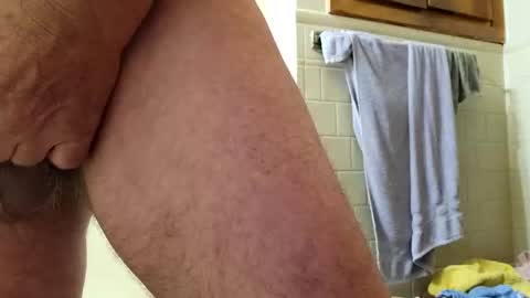 pigglywiggly9184100 online show from 10/11/25, 08:02