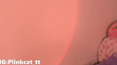 Snapshot of piinkcat chatting on 12/03/25, 05:37 Emi online show from 12/03/25, 05:37