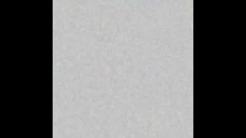 pimmel10 online show from 11/29/25, 04:43