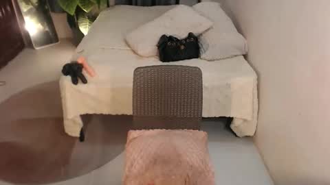 pinay_empress18 online show from 06/04/26, 12:16