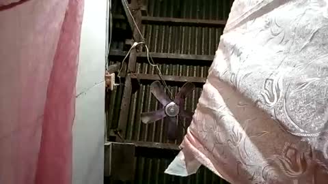 pinaybobs online show from 03/02/26, 08:48