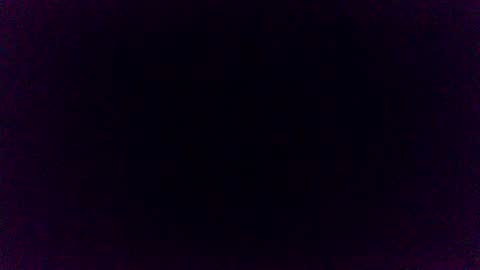 Pincoffin online show from 11/12/25, 11:25