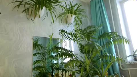 Snapshot of pink_light chatting on 02/11/26, 05:34 Tatyana online show from 02/11/26, 05:34