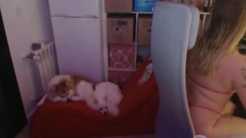 pinkladyx2 online show from 02/21/25, 06:48