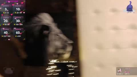 Pinky online show from 02/15/25, 08:01