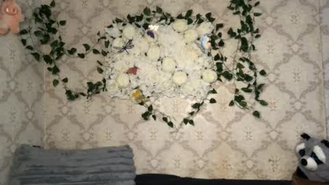 Snapshot of pinochetti chatting on 02/17/26, 12:34 Incubus online show from 02/17/26, 12:34