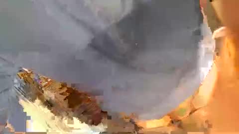 pippetta1 online show from 11/21/25, 03:00