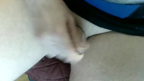 pippo online show from 02/04/25, 08:49