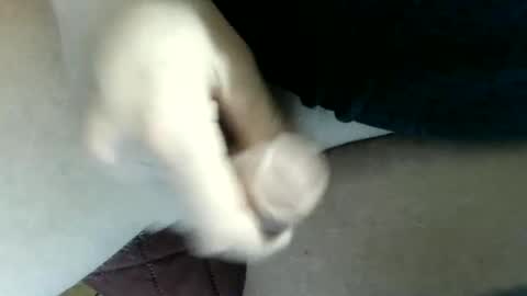 pippo online show from 03/01/25, 10:31