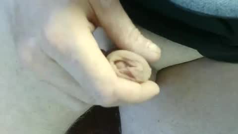 pippo online show from 09/14/25, 04:39