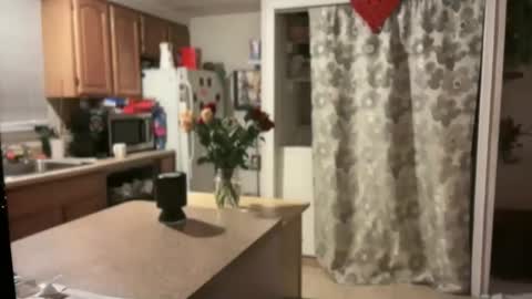 pirdybirdyxo online show from 01/30/25, 04:06