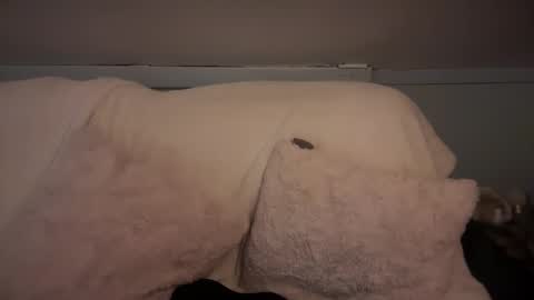 pirdybirdyxo online show from 03/02/25, 06:37