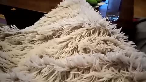 Antn online show from 02/09/25, 06:33