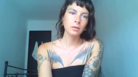 Snapshot of pixiecatfairy chatting on 09/17/25, 09:44 pixiecatfairy online show from 09/17/25, 09:44