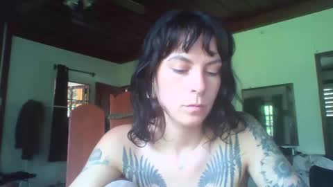 Snapshot of pixiecatfairy chatting on 11/11/25, 06:24 pixiecatfairy online show from 11/11/25, 06:24