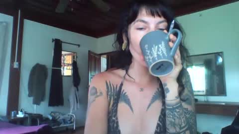 Snapshot of pixiecatfairy chatting on 11/13/25, 02:21 pixiecatfairy online show from 11/13/25, 02:21