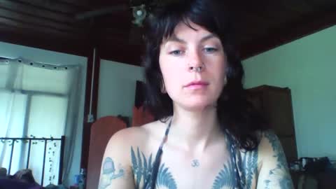 Snapshot of pixiecatfairy chatting on 11/23/25, 03:17 pixiecatfairy online show from 11/23/25, 03:17