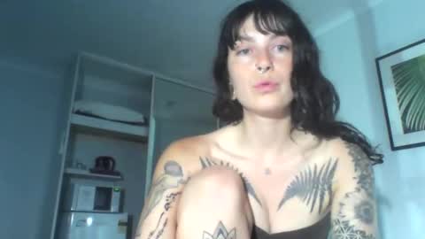 Snapshot of pixiecatfairy chatting on 12/04/25, 12:03 pixiecatfairy online show from 12/04/25, 12:03