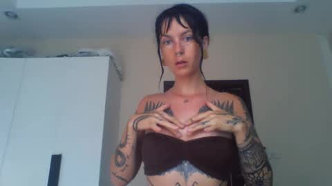 Snapshot of pixiecatfairy chatting on 02/23/26, 02:53 pixiecatfairy online show from 02/23/26, 02:53