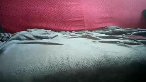 Leonardo online show from 03/01/26, 08:49