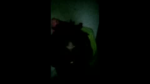 pledges000 online show from 03/06/26, 02:35