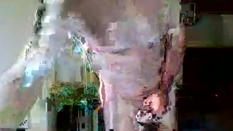 pluchet online show from 05/07/26, 04:56