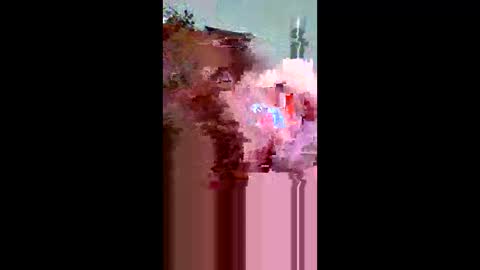 plumber336652 online show from 05/31/26, 12:30