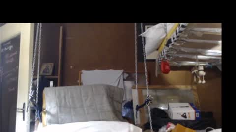 Snapshot of plumerialba chatting on 12/15/24, 04:04 Plumerialba online show from 12/15/24, 04:04