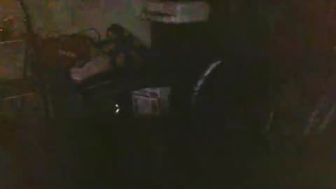 pnwbull25 online show from 03/27/26, 09:32