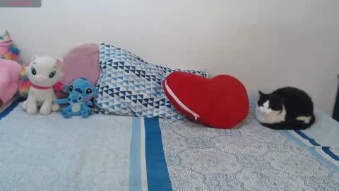 Pocahontas online show from 10/29/25, 04:20