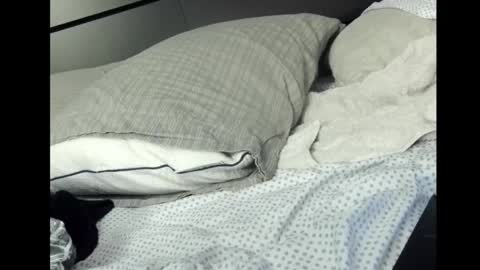 Rocket online show from 03/02/26, 12:35