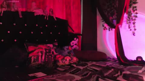  Luna  online show from 02/15/26, 12:47