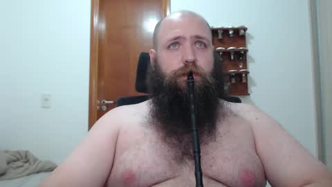 Bear online show from 02/16/25, 08:21