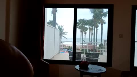 Paul online show from 12/16/25, 07:57