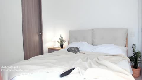 Polly online show from 01/04/25, 09:31