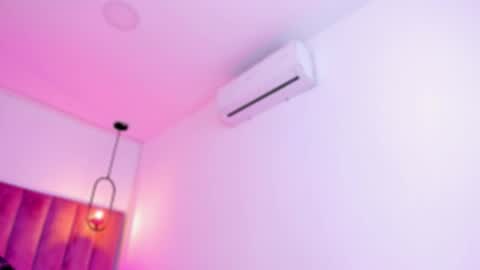 POLLY online show from 03/07/26, 10:12