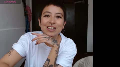 Poly online show from 01/29/25, 04:19