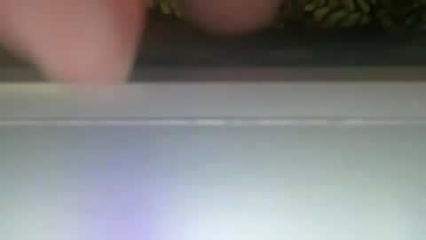 PONCH online show from 12/30/24, 12:31