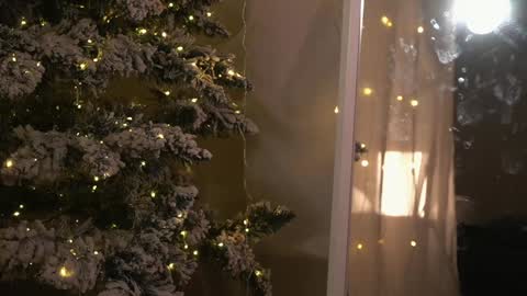 Snapshot of poni_dii chatting on 12/26/24, 09:04    online show from 12/26/24, 09:04