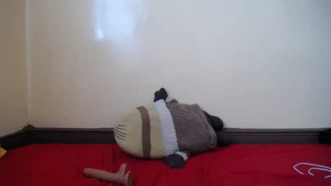 Snapshot of popetykely00 chatting on 02/18/25, 08:38 popetykely00 online show from 02/18/25, 08:38