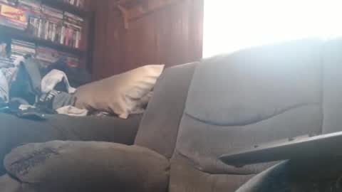 porkingit400 online show from 02/14/25, 05:14