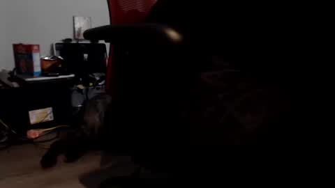 porkdaddy online show from 09/09/25, 05:45