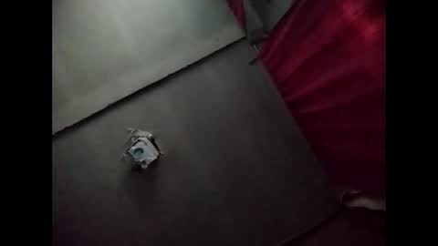 Potro770723 online show from 11/20/25, 10:15