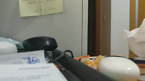 Snapshot of ppillo chatting on 11/17/25, 10:48 ppillo online show from 11/17/25, 10:48