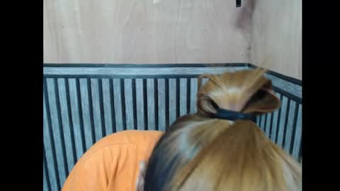 Snapshot of prettykate_04 chatting on 11/07/25, 06:08 Kate online show from 11/07/25, 06:08